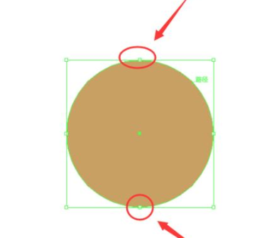 illustrator（AI）怎么绘制半圆？AI绘制半圆教程！