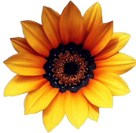 ps插画抠图后边缘有白边怎么办?ps去除抠图白边技巧! ps插画抠图后边缘有白边怎么办?ps去除抠图白边技巧!