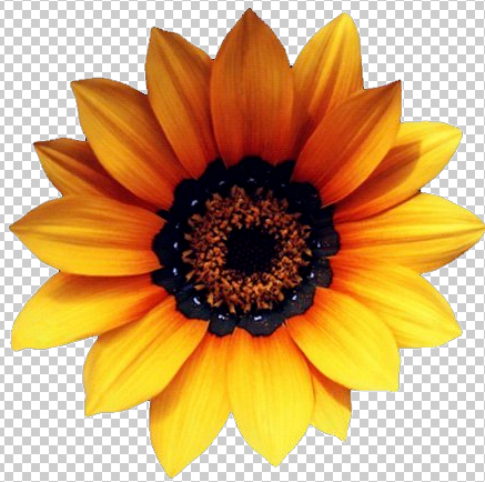 ps插画抠图后边缘有白边怎么办?ps去除抠图白边技巧! ps插画抠图后边缘有白边怎么办?ps去除抠图白边技巧!