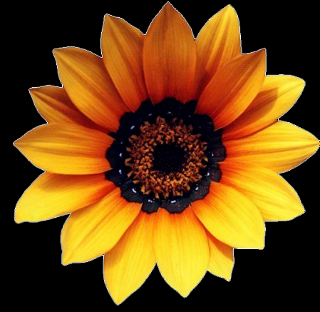 ps插画抠图后边缘有白边怎么办?ps去除抠图白边技巧! ps插画抠图后边缘有白边怎么办?ps去除抠图白边技巧!