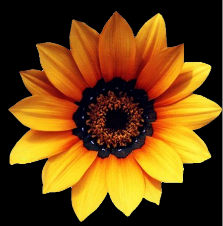 ps插画抠图后边缘有白边怎么办?ps去除抠图白边技巧! ps插画抠图后边缘有白边怎么办?ps去除抠图白边技巧!