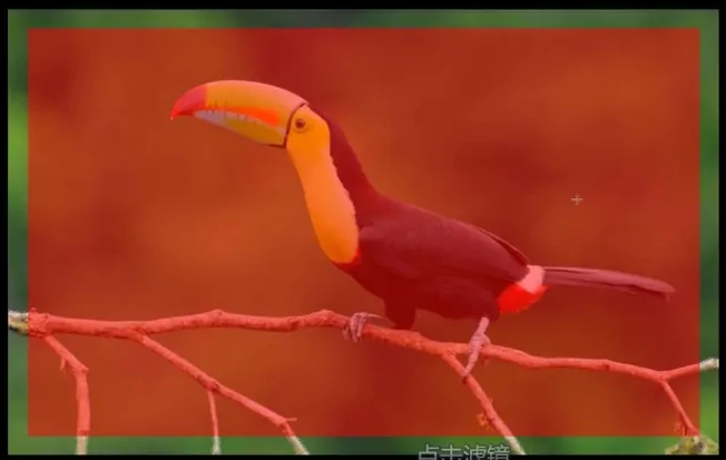 ps怎么使用快速蒙版给插画制作相框？ps给插画制作相框教程！