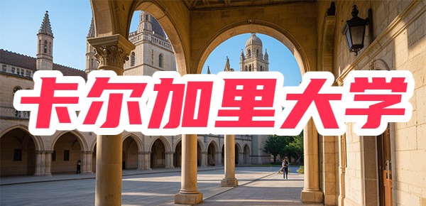 卡尔加里大学世界排名多少呢？