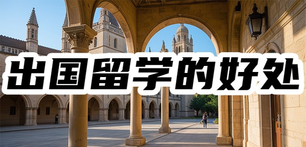 留学生回国考公考编的方向是什么？