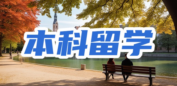 本科留学被开除后退学回国的出路是什么？