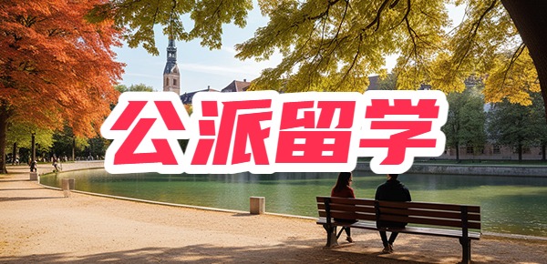 公派留学有多难？