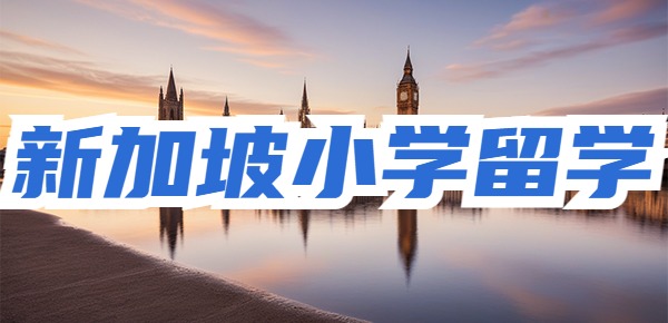 新加坡小学留学一年费用？