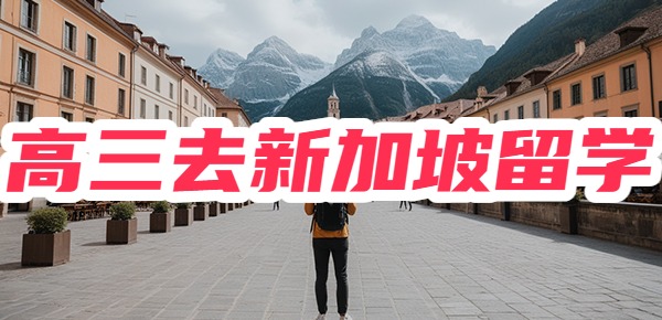 高三申请新加坡学校可以吗？