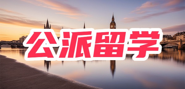 公派留学回国之后何去何从？