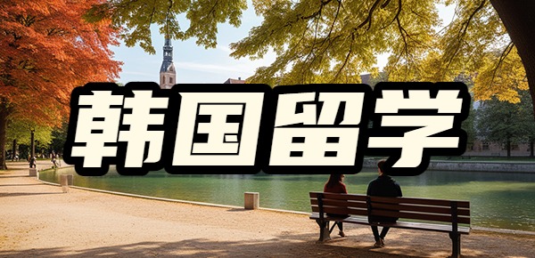中国最认可的韩国大学是什么？