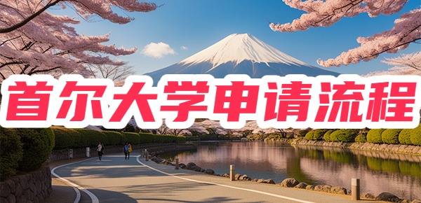 如何成功申请韩国的首尔大学？