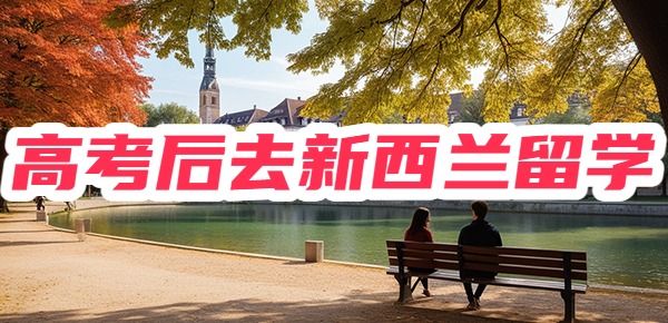 高中生读新西兰名校,有哪几种方式? 高中生读新西兰名校,有哪几种方式?